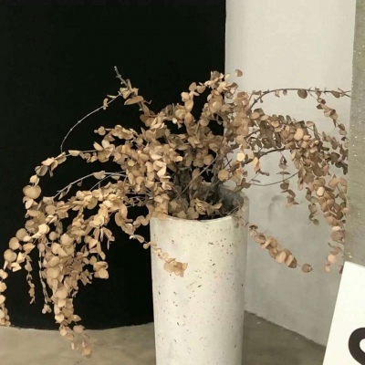 Furry色彩对比技巧福瑞交流群